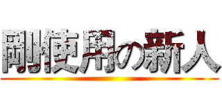 剛使用の新人 ()