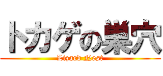 トカゲの巣穴 (Lizard Nest)