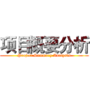 项目概要分析 (Project Summary Analysis)