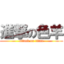 進撃の色羊 (attack on titan)