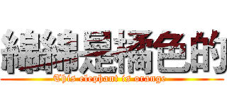 綿綿是橘色的 (This elephant is orange )