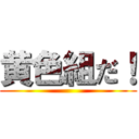 黄色組だ！ ()