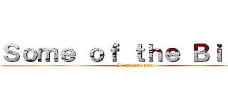 Ｓｏｍｅ ｏｆ ｔｈｅ Ｂｉｔｃｈ (I can see you)