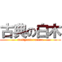 古典の白木 (mettyaaterareru)