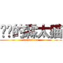 进击的霖太猫 (kaisadoro)