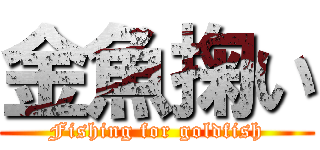 金魚掬い (Fishing for goldfish)