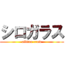 シロガラス (albino crow)