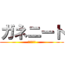 ガネニート (自宅警備員)