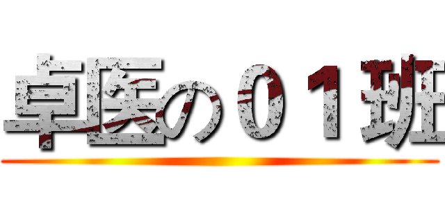 卓医の０１ 班 ()