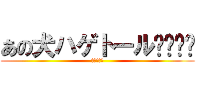 あの犬ハゲトール〜〜〜〜 (進撃のハゲ)