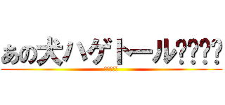 あの犬ハゲトール〜〜〜〜 (進撃のハゲ)