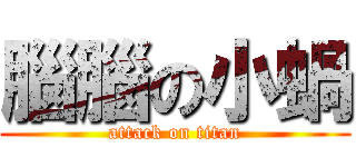 腦腦の小蝸 (attack on titan)