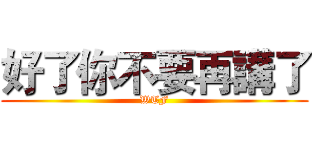 好了你不要再講了 (WTF)