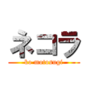 ネコラ (ko motosugi)