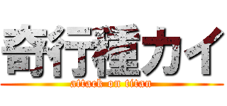 奇行種カイ (attack on titan)