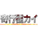 奇行種カイ (attack on titan)