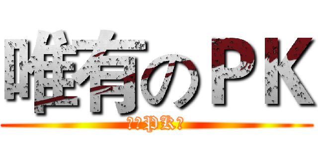唯有のＰＫ (宠物PK赛)