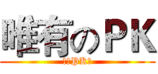 唯有のＰＫ (宠物PK赛)