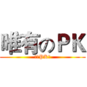 唯有のＰＫ (宠物PK赛)