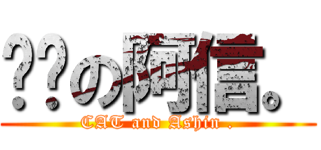 貓咪の阿信。 (CAT and Ashin .)