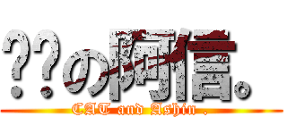 貓咪の阿信。 (CAT and Ashin .)