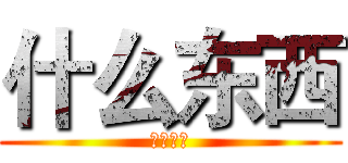 什么东西 (什么东西)