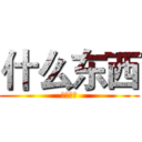 什么东西 (什么东西)