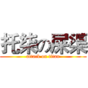 托柒の屎渠 (attack on titan)
