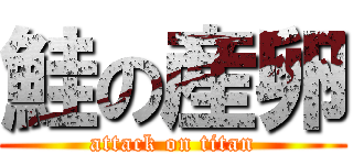 鮭の産卵 (attack on titan)