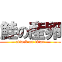 鮭の産卵 (attack on titan)