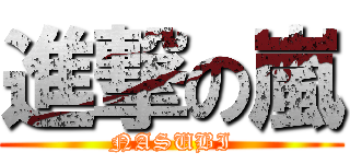 進撃の嵐 (NASUBI)