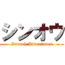 シンオウ (Sinnoh Adventures)