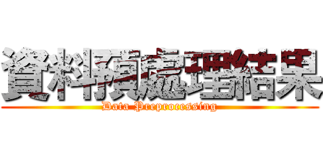 資料預處理結果 (Data Preprocessing)
