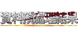 資料預處理結果 (Data Preprocessing)