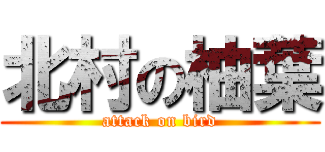 北村の柚葉 (attack on bird)