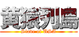 黄猿列島 (Slave of USA)