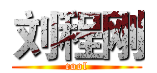 刘程刚 (cool)