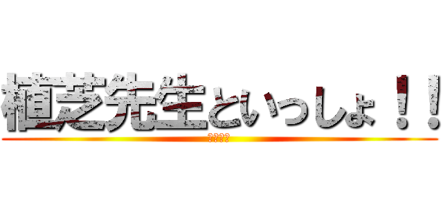 植芝先生といっしょ！！ (武産合気)