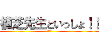 植芝先生といっしょ！！ (武産合気)