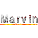 Ｍａｒｖｉｎ (Marvin )