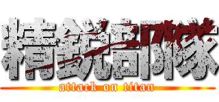 精鋭部隊 (attack on titan)