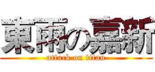 東雨の嘉新 (attack on titan)