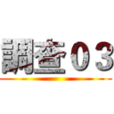 調查０３ ()