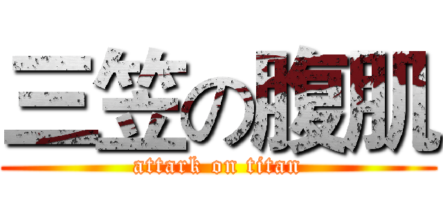 三笠の腹肌 (attark on titan)