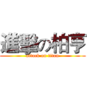 進擊の柏亨 (attack on titan)