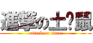 進撃の土潑鼠 (attack on titan)