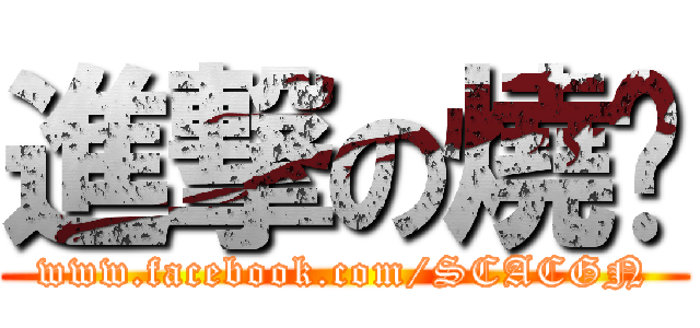 進撃の燒蔥 (www.facebook.com/SCACGN)