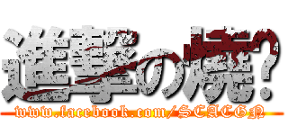 進撃の燒蔥 (www.facebook.com/SCACGN)