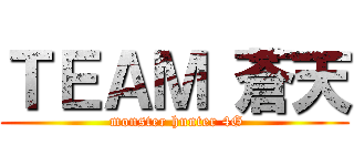 ＴＥＡＭ 蒼天 ( monster hunter 4G)