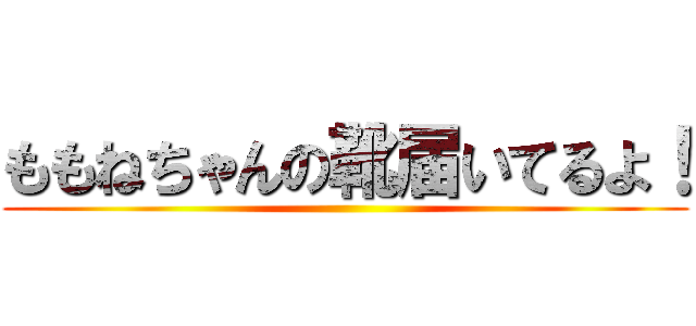 ももねちゃんの靴届いてるよ！ ()